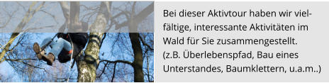 Bei dieser Aktivtour haben wir viel- fältige, interessante Aktivitäten im  Wald für Sie zusammengestellt.  (z.B. Überlebenspfad, Bau eines  Unterstandes, Baumklettern, u.a.m..)