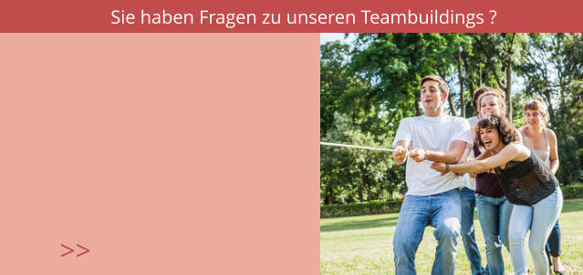 Sie haben Fragen zu unseren Teambuildings ? >>