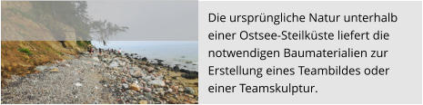 Die ursprüngliche Natur unterhalb  einer Ostsee-Steilküste liefert die  notwendigen Baumaterialien zur  Erstellung eines Teambildes oder  einer Teamskulptur.