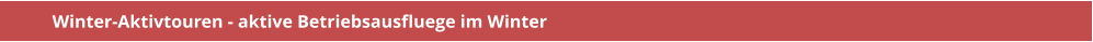 Winter-Aktivtouren - aktive Betriebsausfluege im Winter