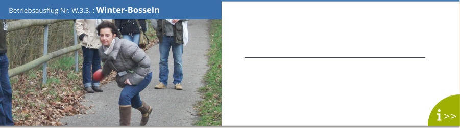 Betriebsausflug Nr. W.3.3. : Winter-Bosseln >>