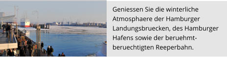 Geniessen Sie die winterliche  Atmosphaere der Hamburger  Landungsbruecken, des Hamburger  Hafens sowie der beruehmt-  beruechtigten Reeperbahn.