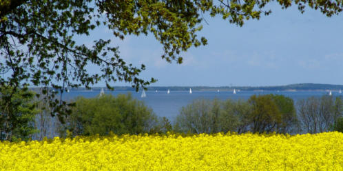 Betriebsausflug an der Schlei